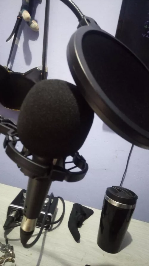 Do I need both of those in my microphone? I mean the windshield and the round thingy.