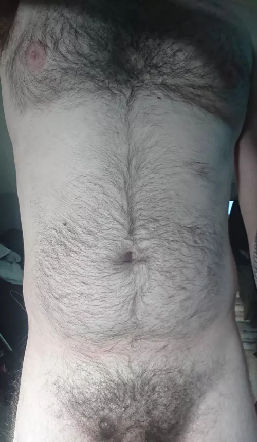 Do I qualify as a bear? π