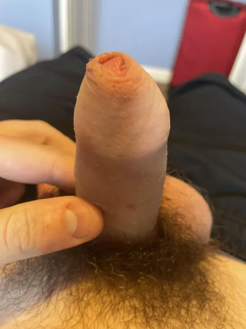 Do u like my hairy uncut cock (m21) dm me for more ;)