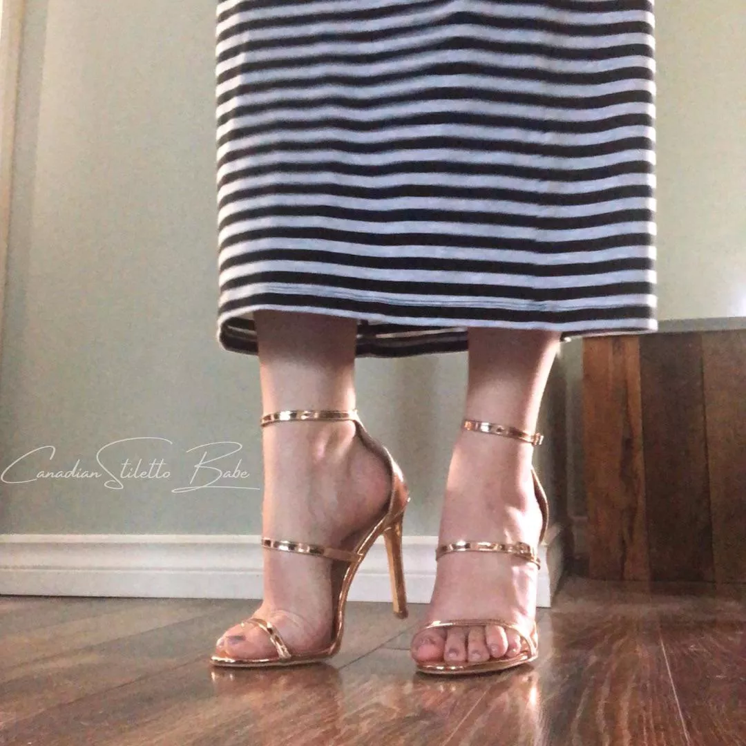 Do we celebrate toesday here? Do we celebrate toesday here?