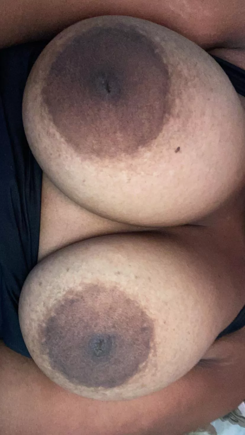 Big Brown Nipples Nude