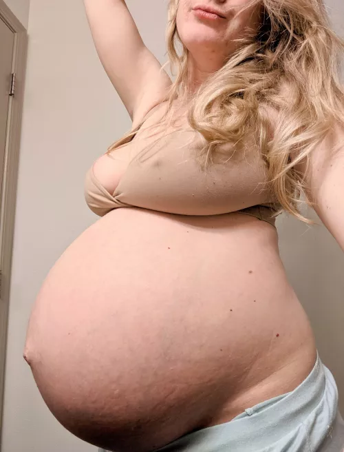 Do you find pregnant milfs sexy? Do you find pregnant milfs sexy?