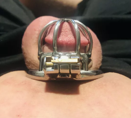 Do you guys think Iβm small enough for a flat cage? (Serious question) (19m)