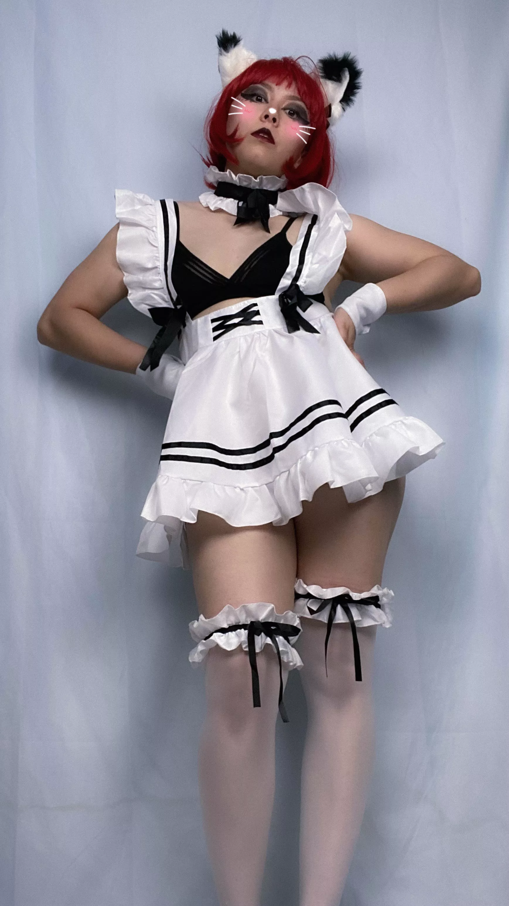 Do you like asian cat girl maids??? (18, 4'11, mixed Asian American) Do you like asian cat girl maids??? (18, 4'11, mixed Asian American)