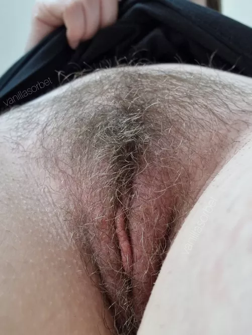 Do you like bushy pussy? 😋
