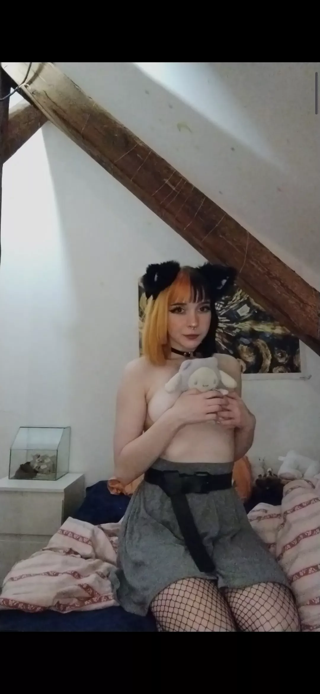 Do you like cat girls? 💕 Do you like cat girls? 💕