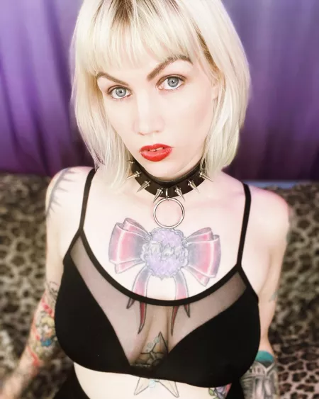 Do you like collars? Do you like collars?