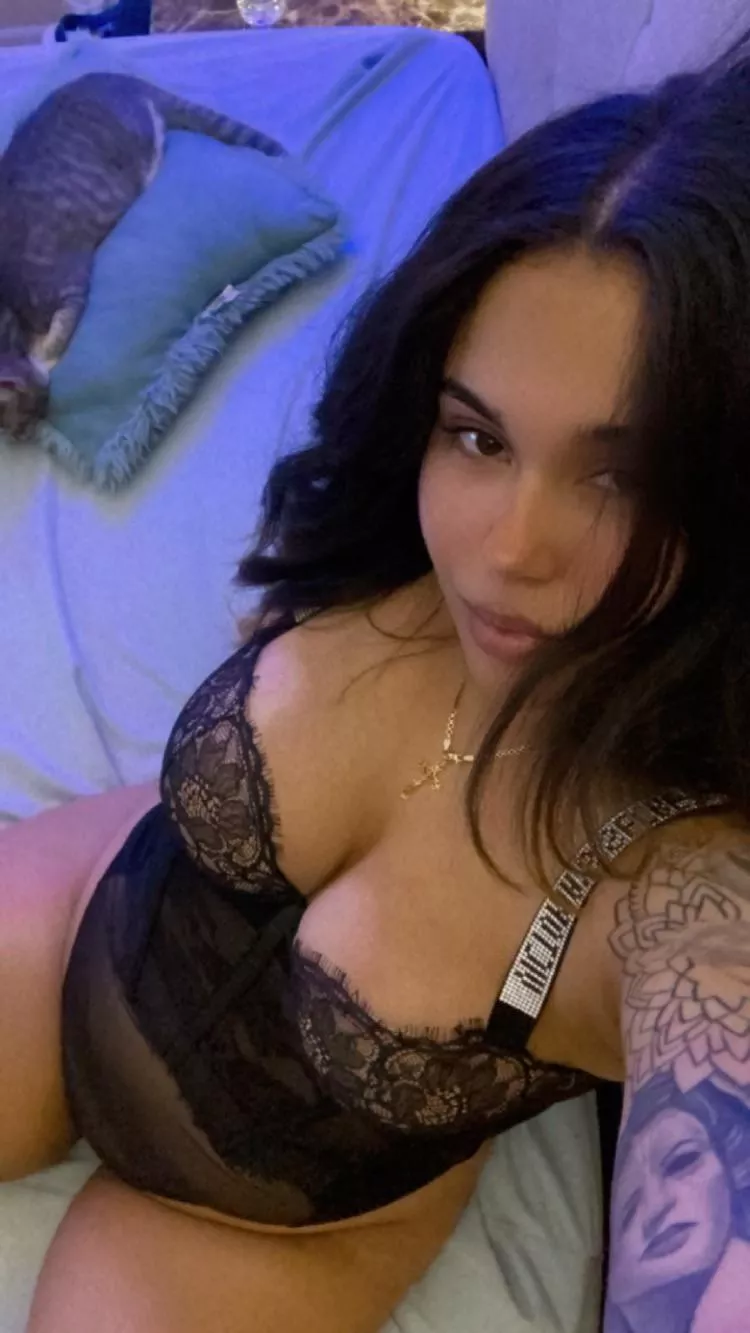 Do you like Dominicans?