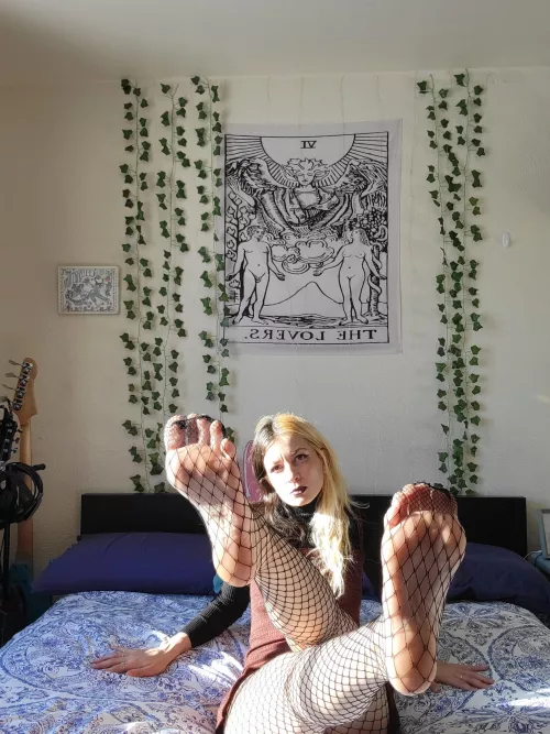 Do you like fishnets? π