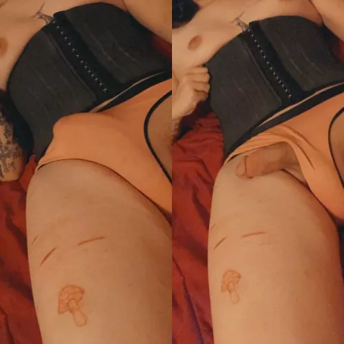 do you like girl bulges? š