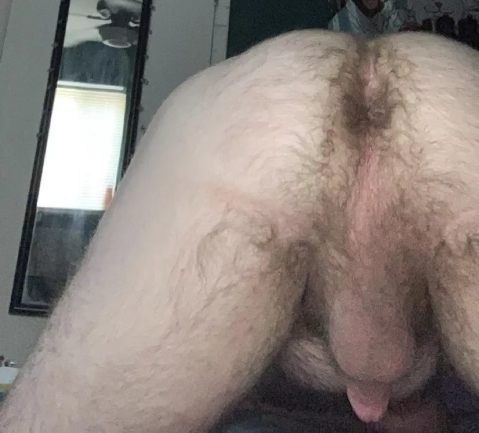 Do you like hairy guys? Do you like hairy guys?