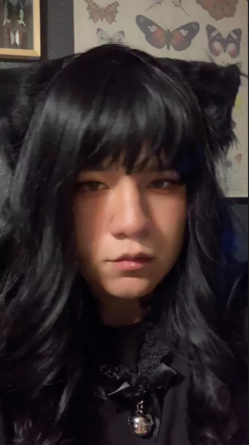 Do you like mixed tgirls?