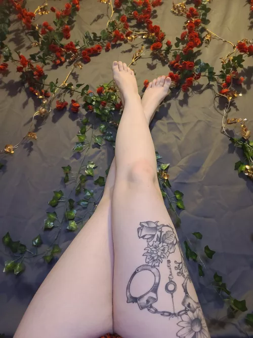 Do you like my Christmas wall?