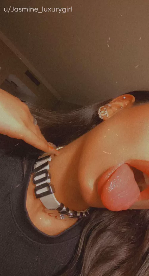 Do you like my collar?