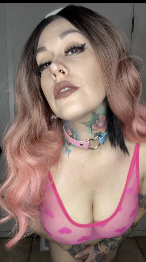 Do you like my collar?