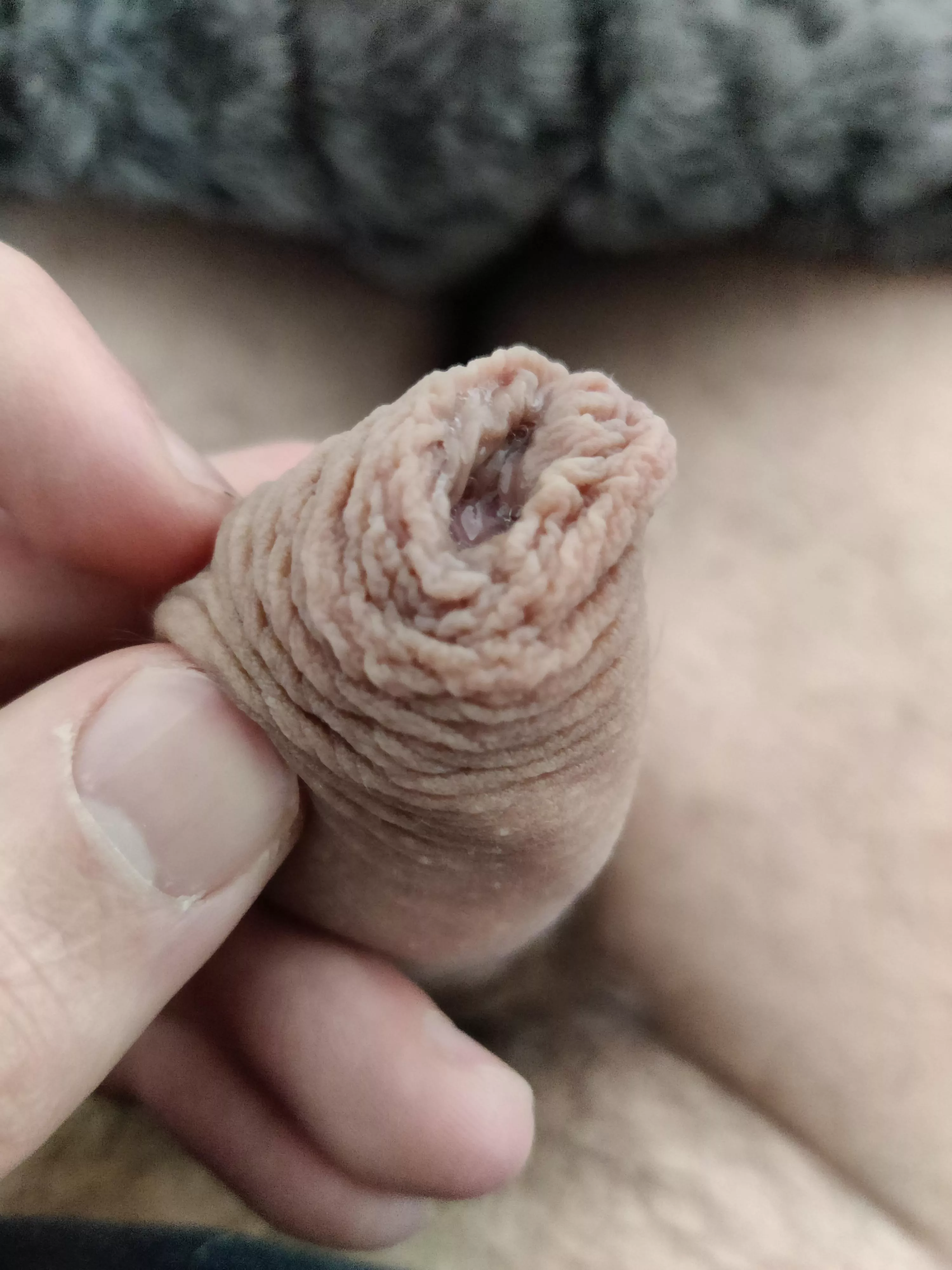 Do you like my foreskin? :) Do you like my foreskin? :)