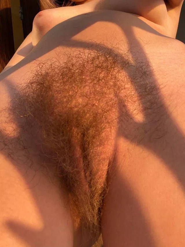 Hairy Lips Porn