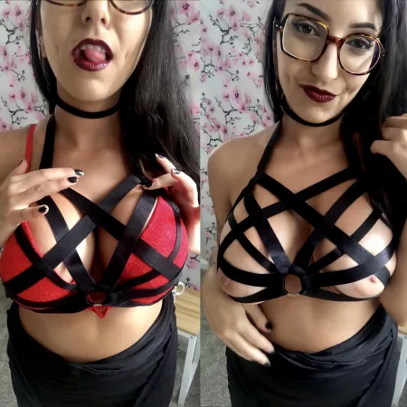 do you like my harness π₯°