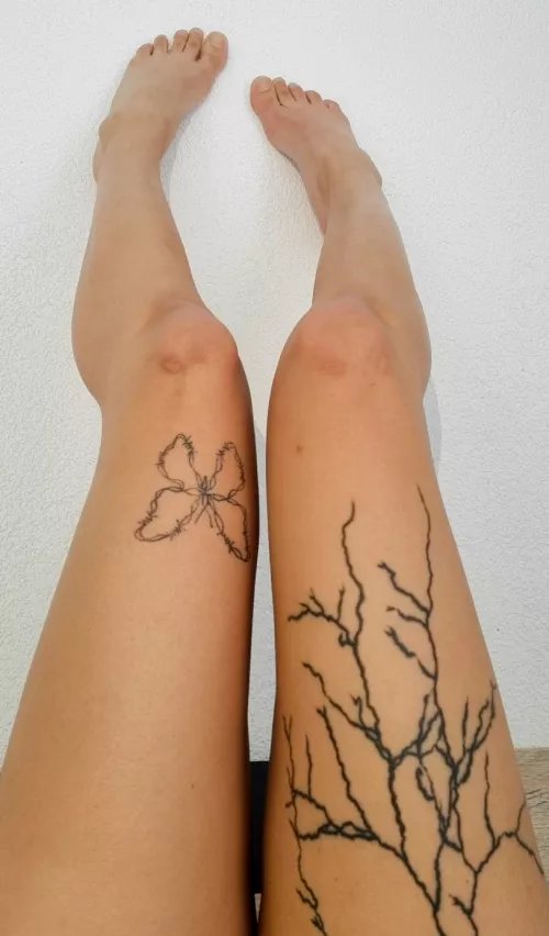 Do you like my legs?
