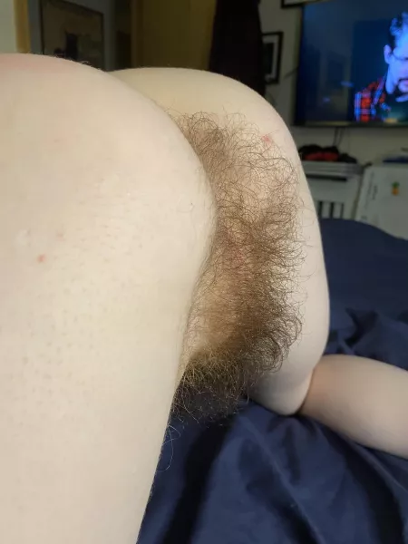 Do you like my morning surprise? Do you like my morning surprise?