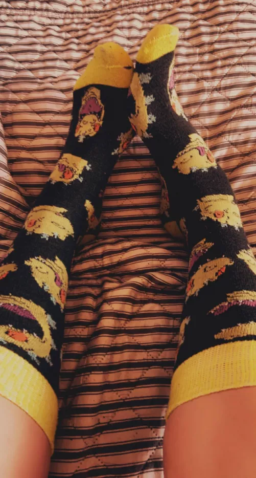 Do you like my Reptar socks 🥺[female]