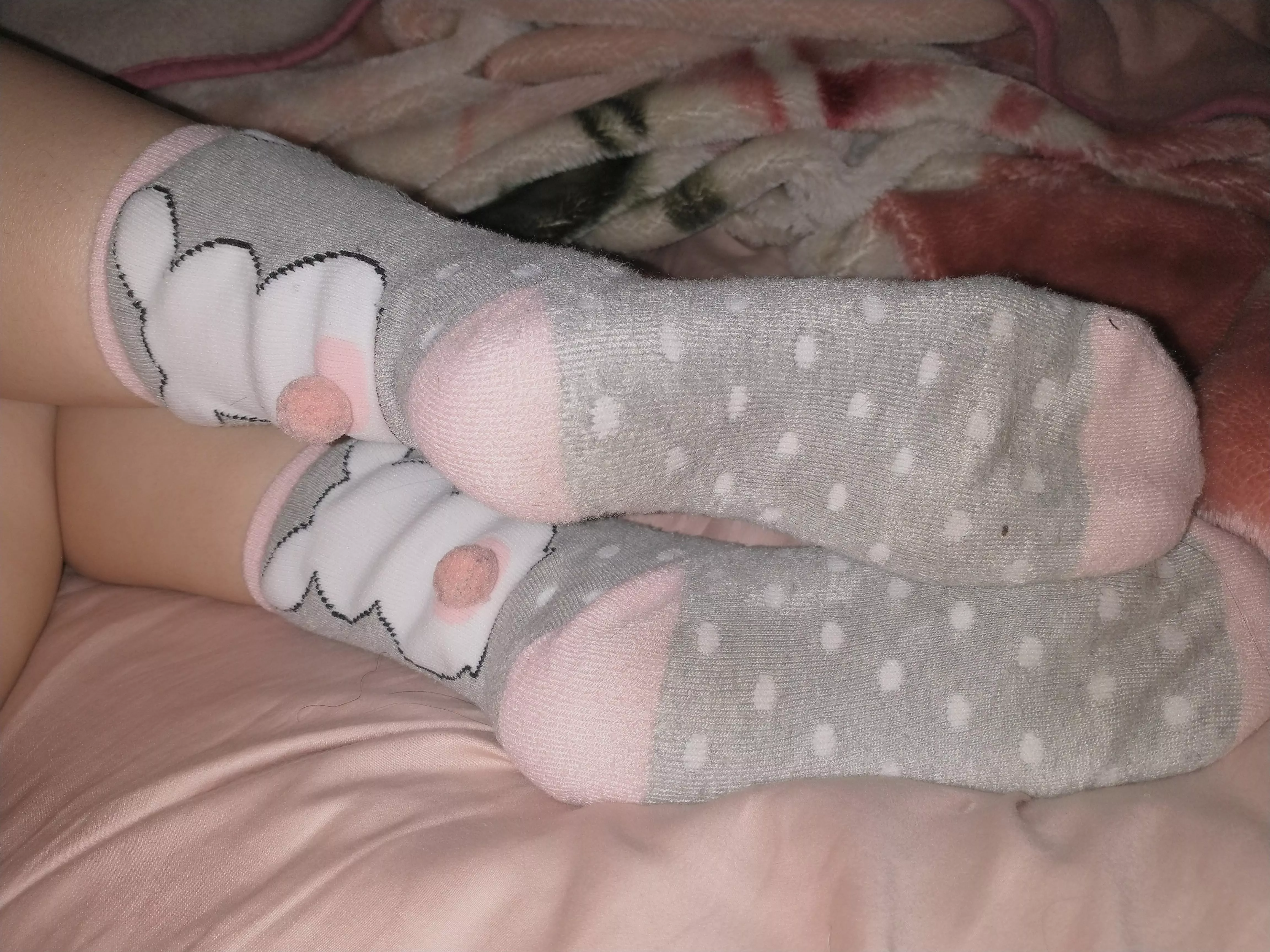 Do you like my socks? Do you like my socks?