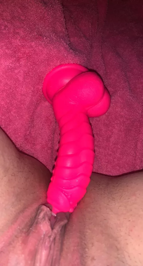 Do you like my toy