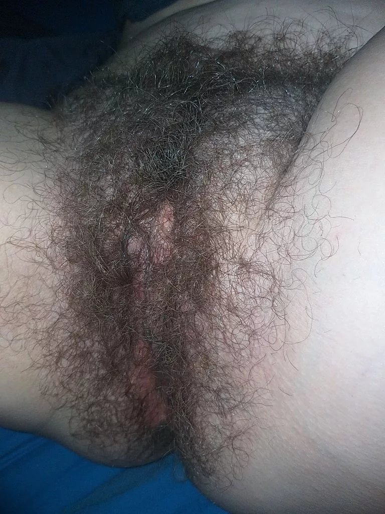 my hairy wife nude