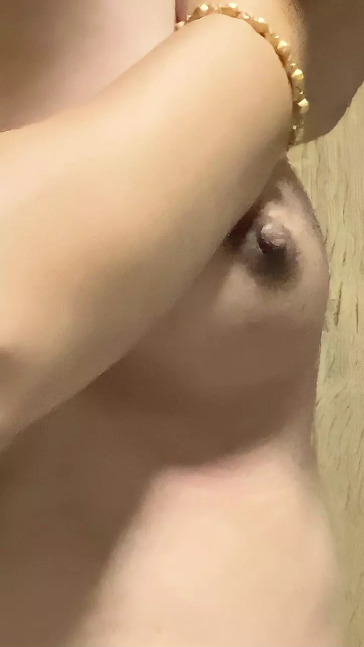 do you like small tits do you like small tits