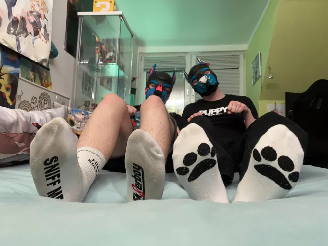 Do you like socks ?