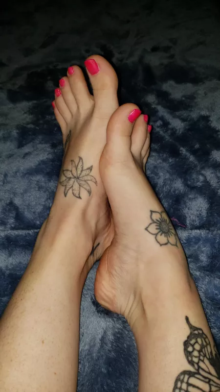 Do you like tattooed feet? Do you like tattooed feet?
