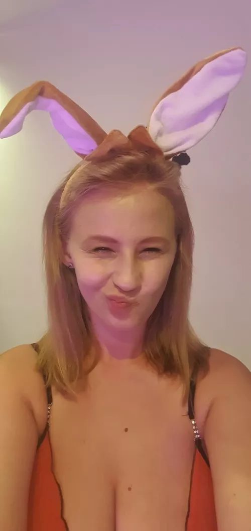 Do you like this type of curvy bunny? [F]