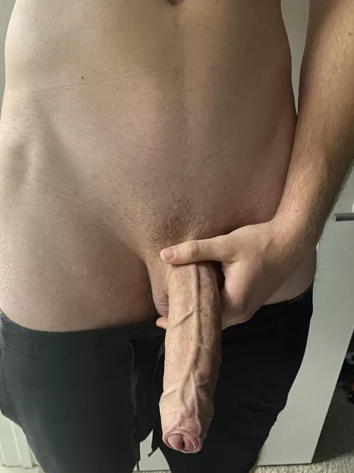 Do you like uncut cocks?