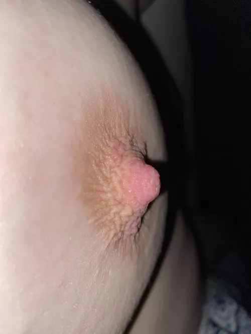 Do you like? Do you like?