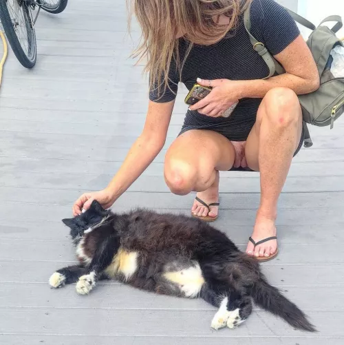 Do you love animals?