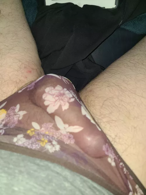 Do you see what I see (M)?