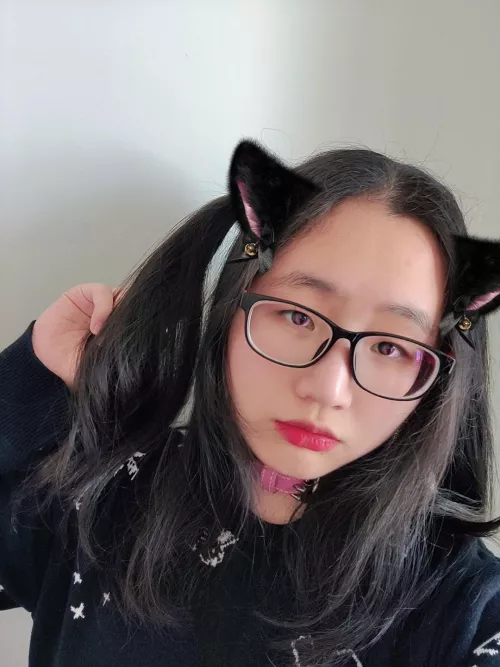 Do you spot my collar?