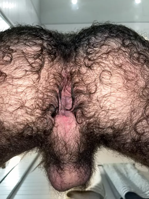 do you think it can get any better than this?