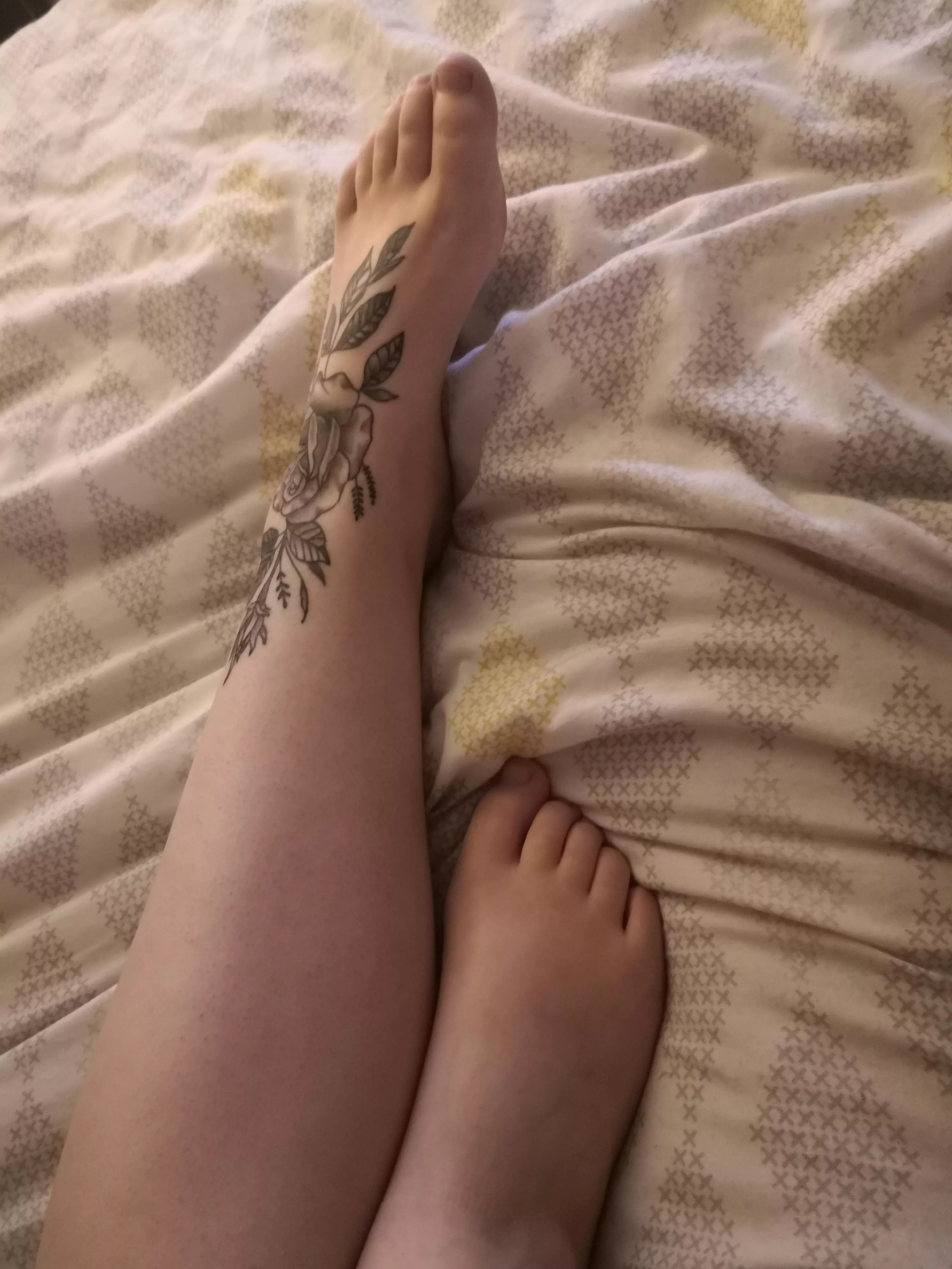 Do you think you could fit all my toes in your mouth? Do you think you could fit all my toes in your mouth?