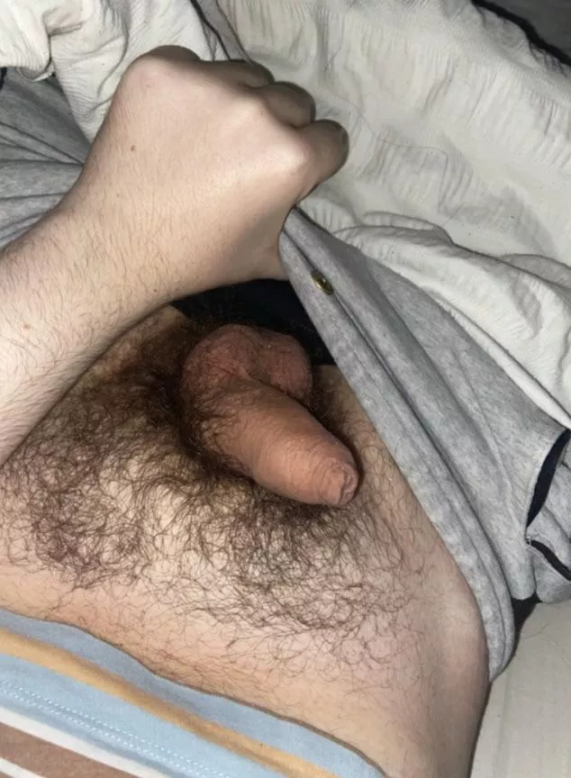 do you wanna pet my bush bro?