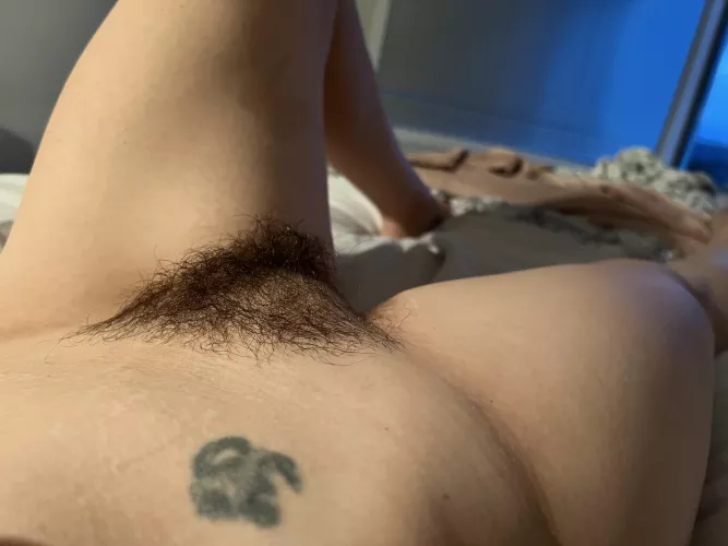 Do you want to explore my jungle?