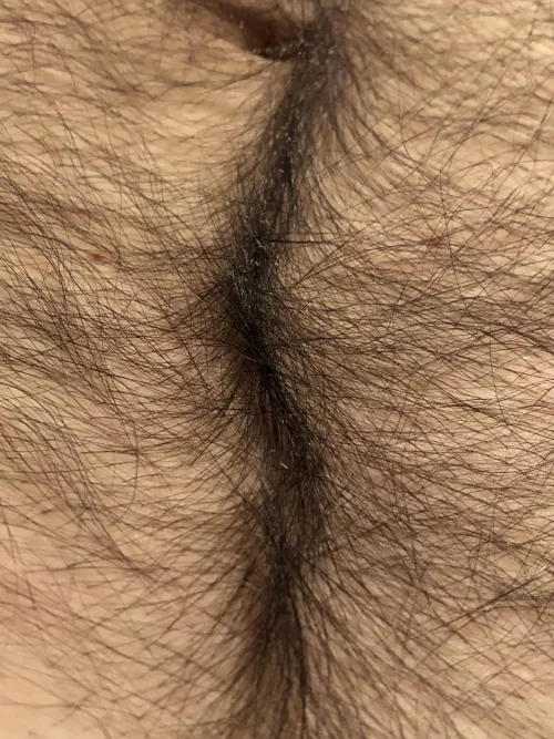 Do you want to follow my happy trail?