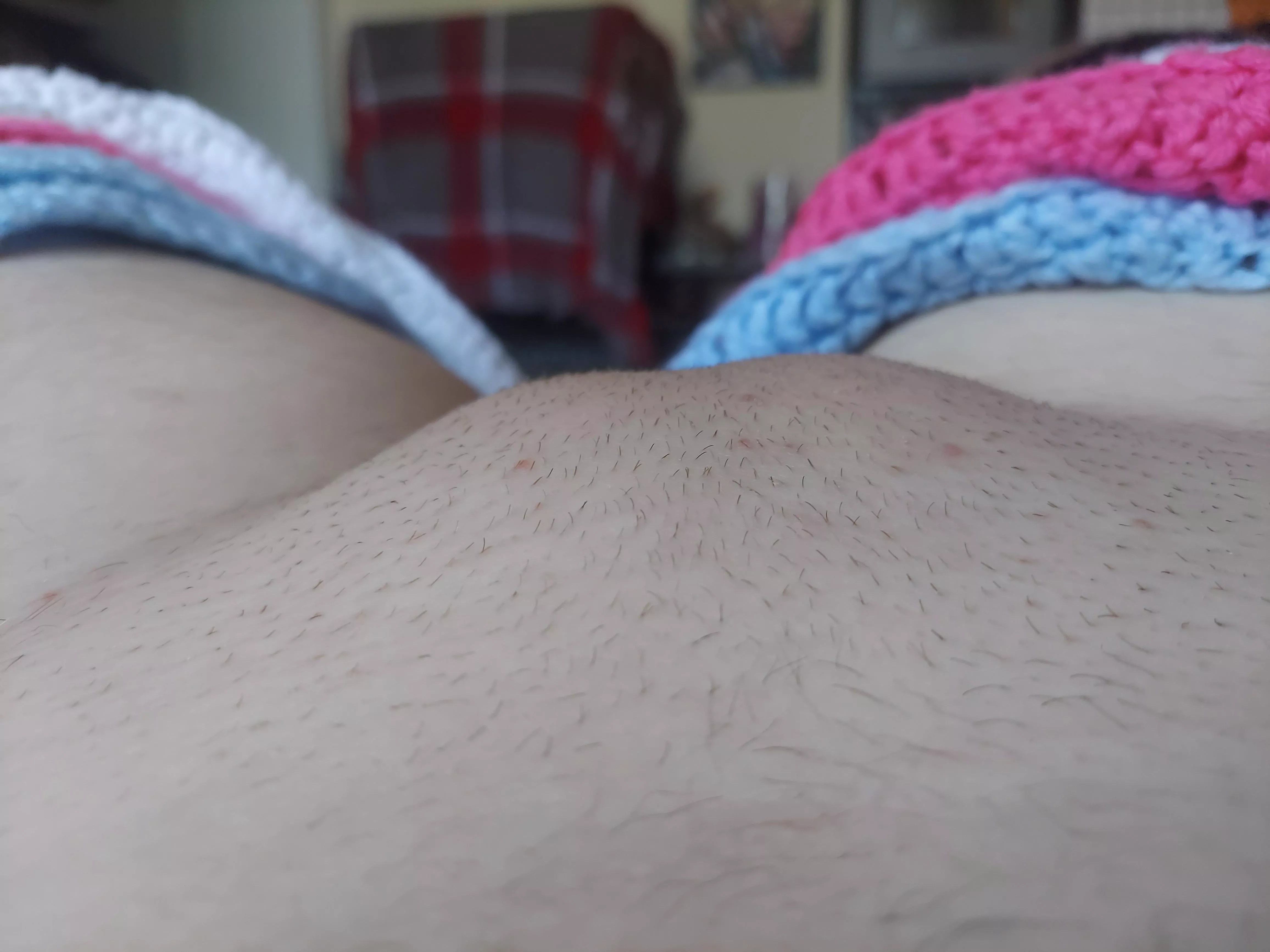 Do you want to help me shave it or do you want me to grow it out?