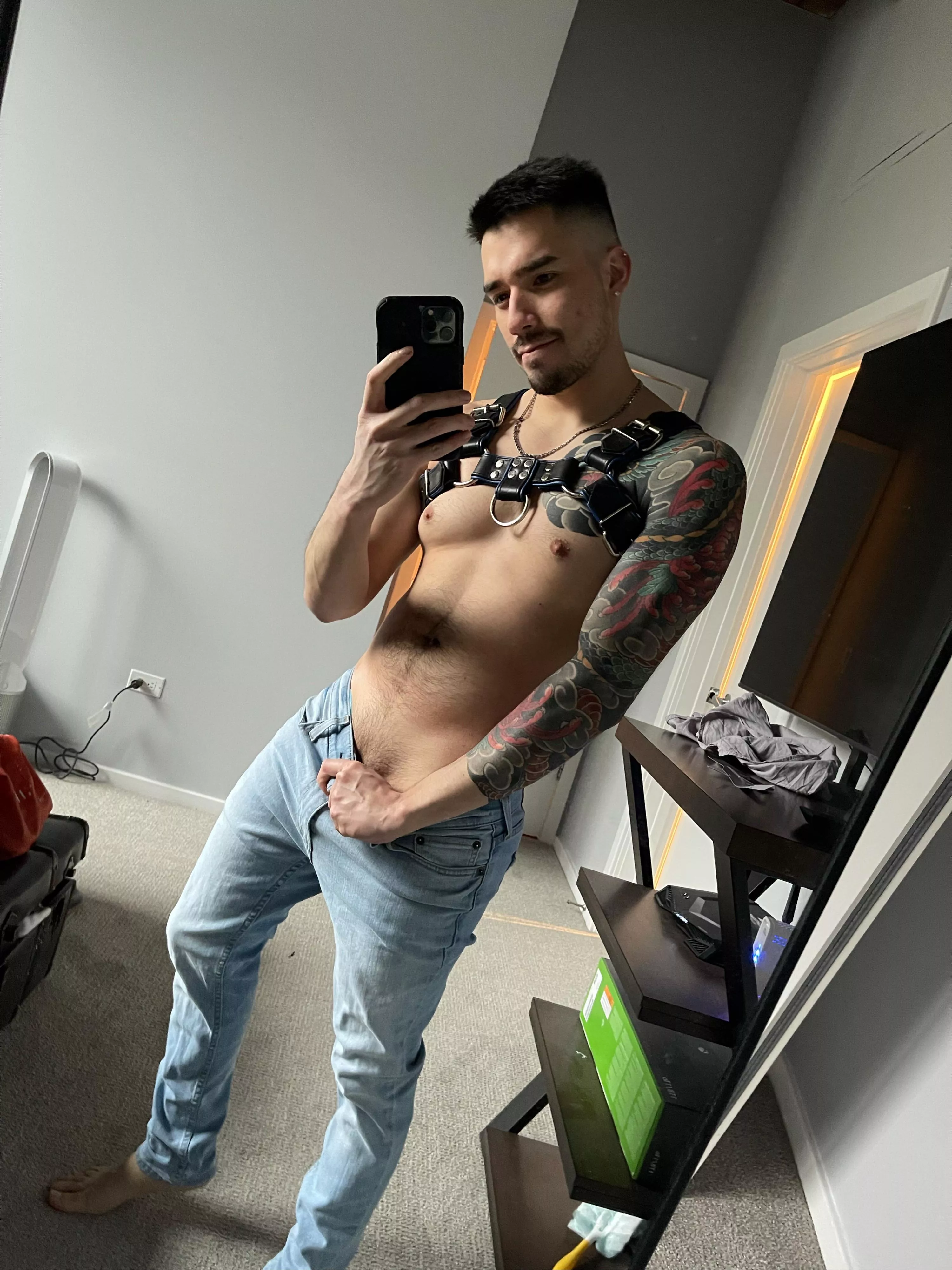 Does a harness count as a holloween costume? Lol Does a harness count as a holloween costume? Lol