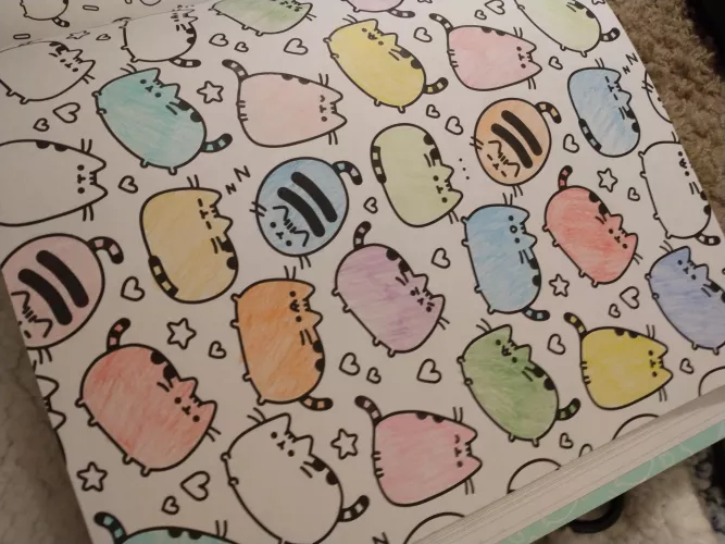 Does anyone else have a favorite coloring book they always come back to? Mine is my Pusheen one o//^//^