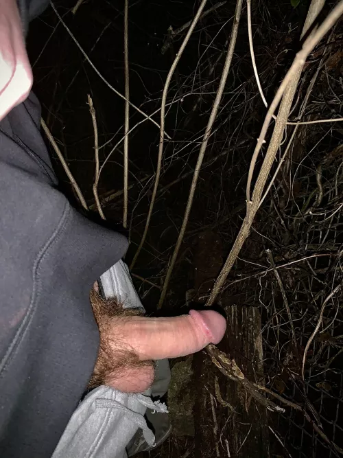 Does anyone like to give head outside?