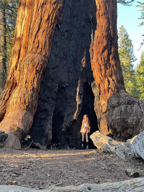 Does nature turn you on?