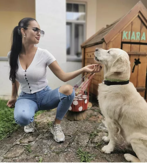 Dog Sitter Dog Sitter