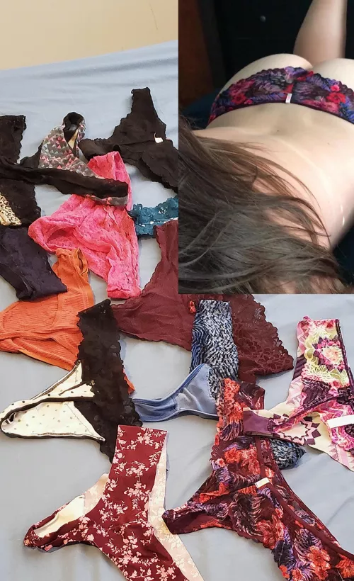 Dog sitting for wife's friend. Overwhelmed. Wish me luck!