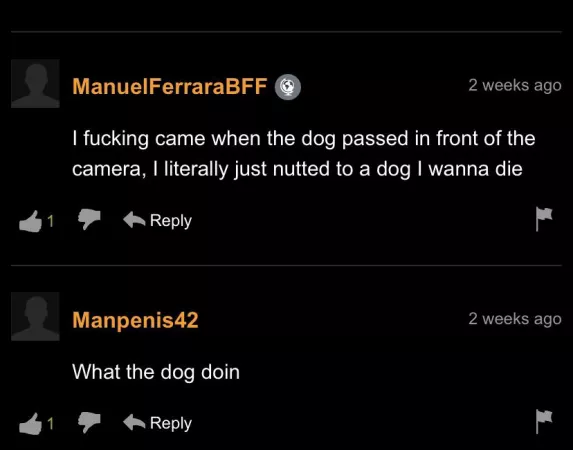Dog.